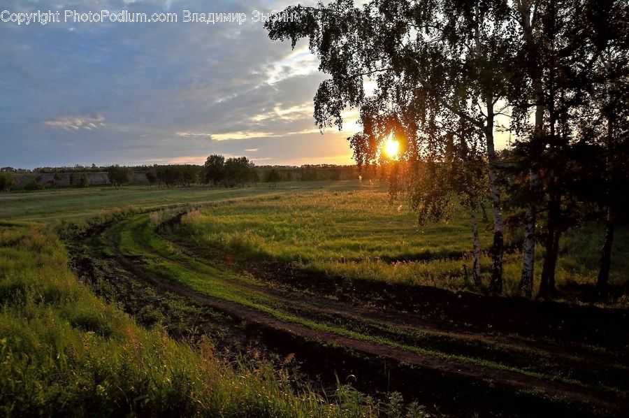 Dirt Road, Gravel, Road, Field, Grass, Grassland, Land