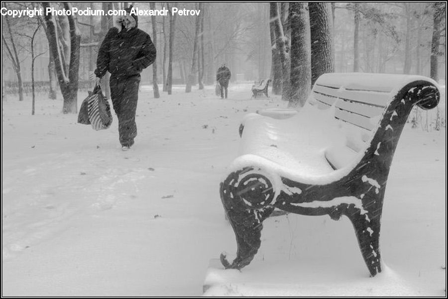 Human, People, Person, Blizzard, Outdoors, Snow, Weather