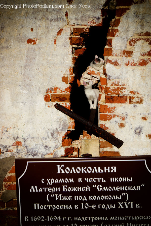 Rust, Brochure, Flyer, Poster, Brick, Rock, Rubble