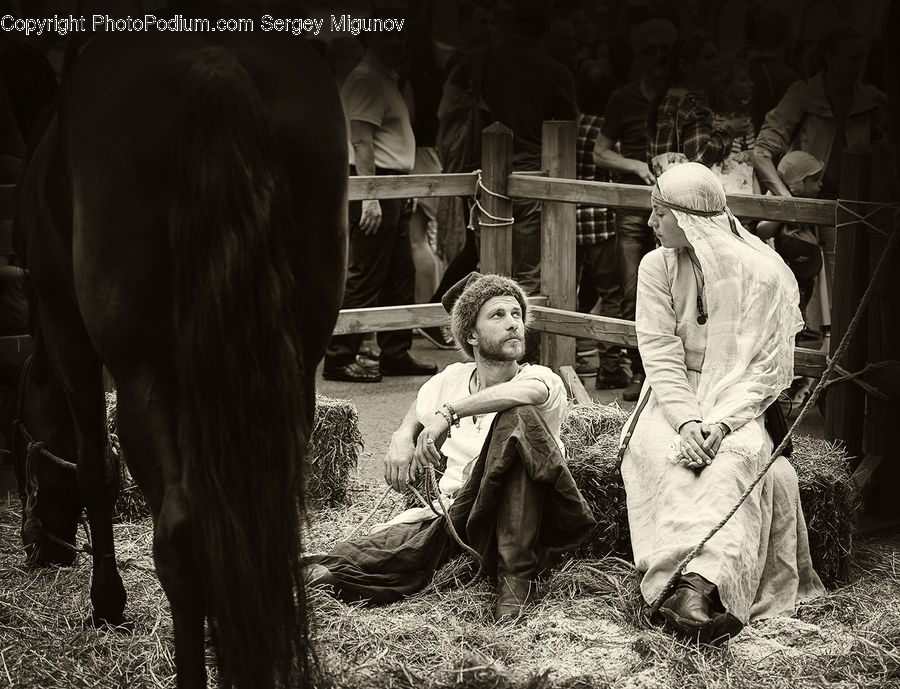 People, Person, Human, Angus, Animal, Bull, Mammal