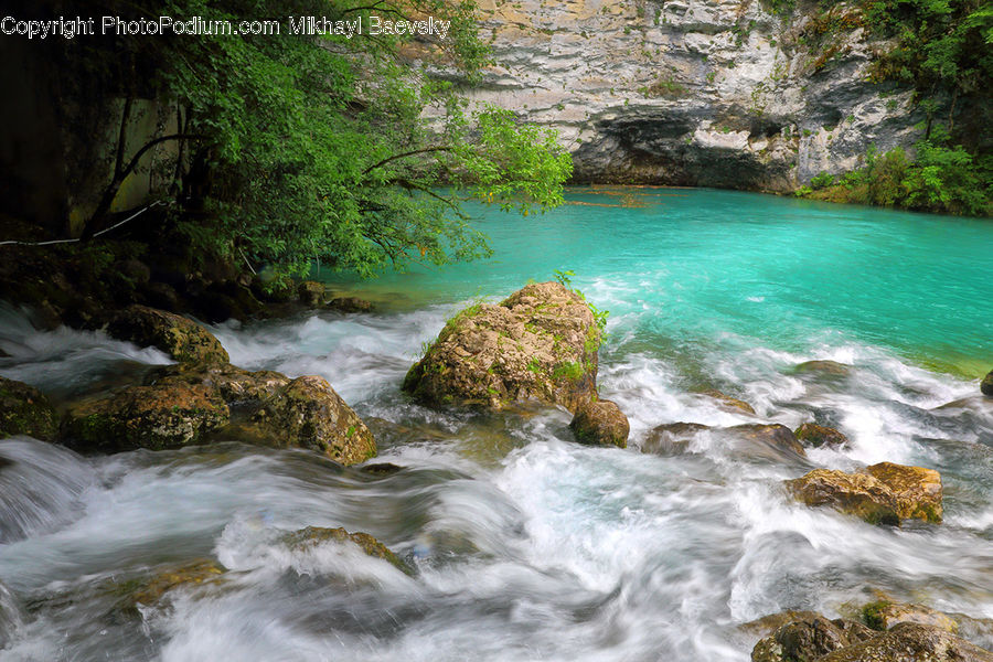 Creek, Outdoors, River, Water, Forest, Jungle, Rainforest