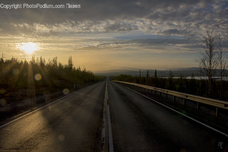 Road, Dirt Road, Gravel, Plant, Tree, Freeway, Highway