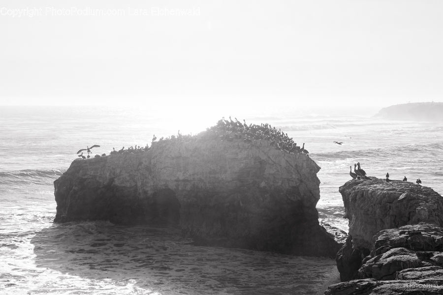 Coast, Outdoors, Sea, Water, Rock, Ocean, Sea Waves