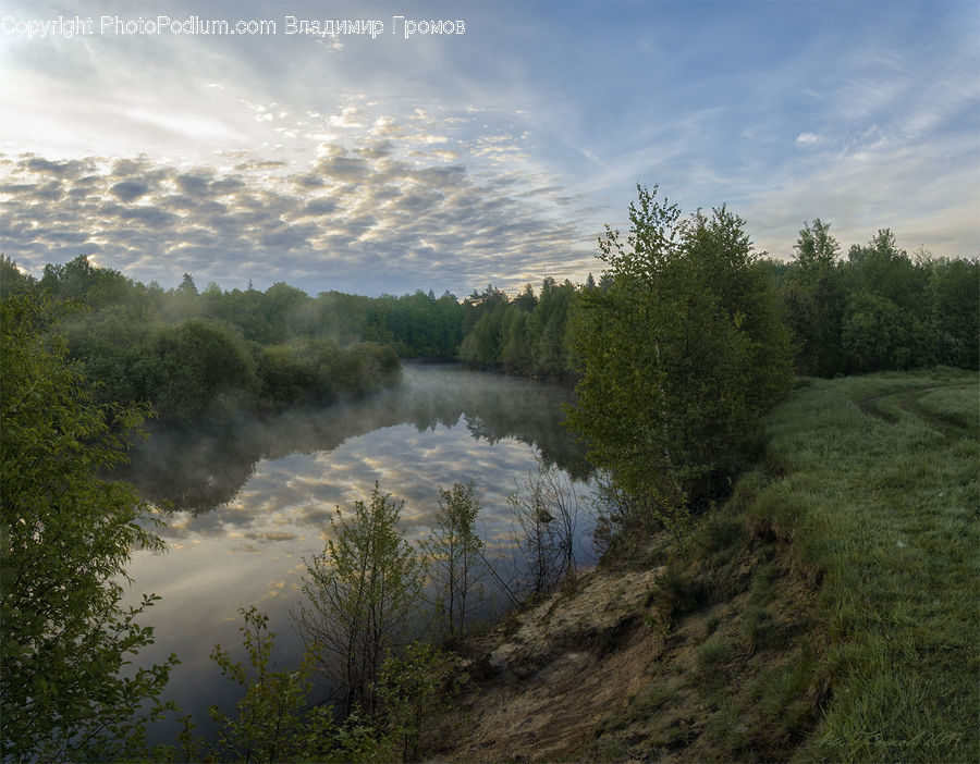 Land, Marsh, Pond, Swamp, Water, Outdoors, River