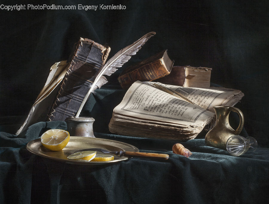 Book, Text, Furniture, Cushion, Home Decor, Pillow
