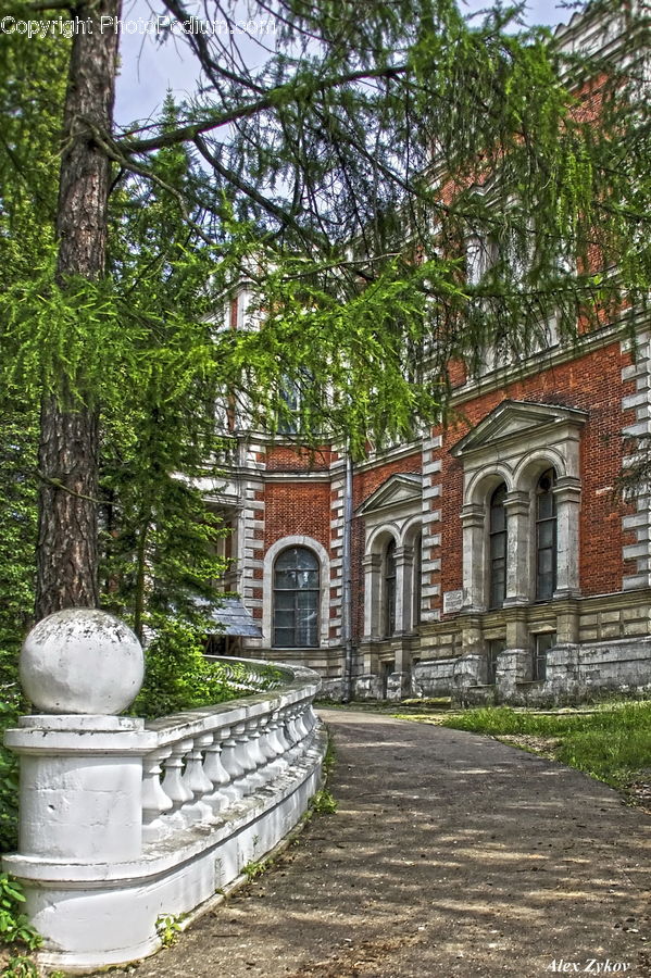 Building, Housing, Villa, Plant, Tree, Tomb, Conifer