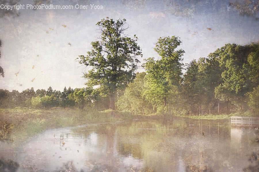 Land, Marsh, Pond, Swamp, Water, Dirt Road, Gravel