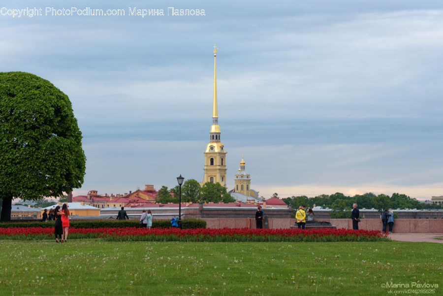 Architecture, Bell Tower, Clock Tower, Tower, Field, Grass, Grassland