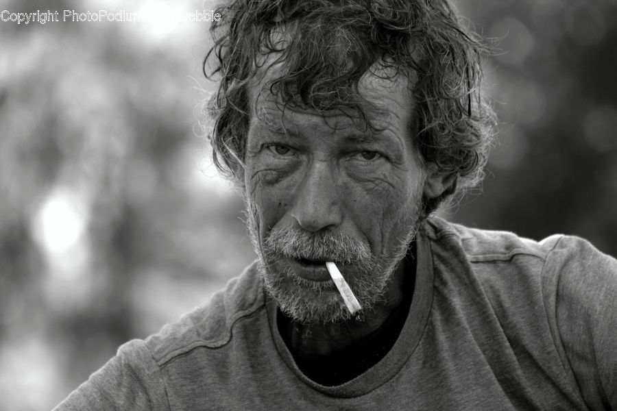 Human, People, Person, Portrait, Face