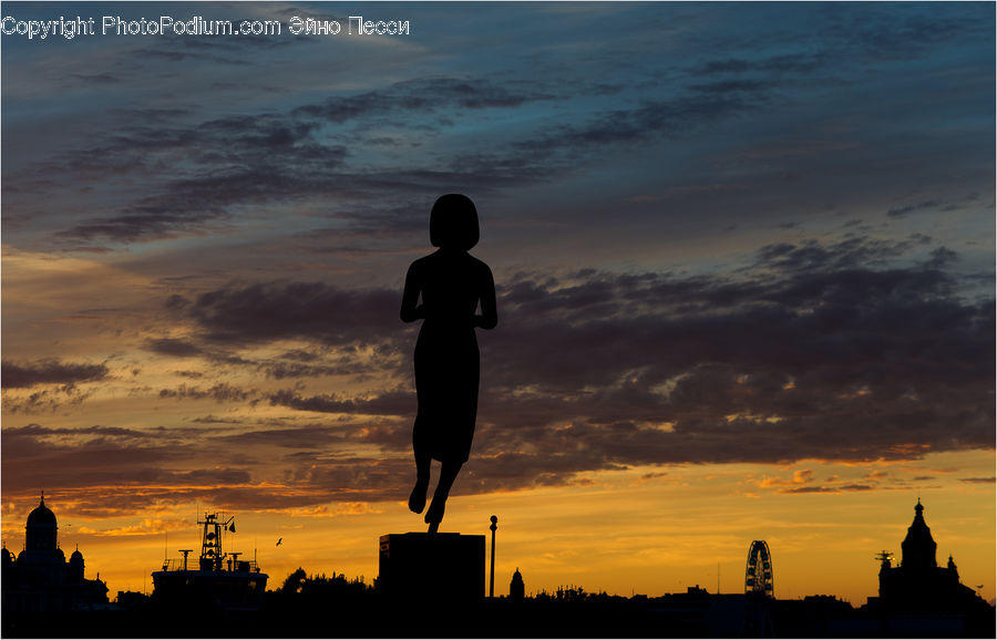 Human, People, Person, Silhouette, Constriction Crane, Dusk, Outdoors