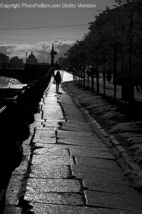 Bench, Dock, Landing, Pier, Boardwalk, Path, Pavement
