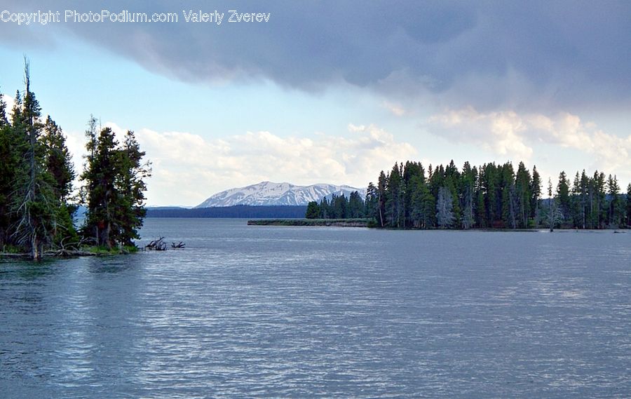 Lake, Outdoors, Water, Conifer, Fir, Plant, Tree