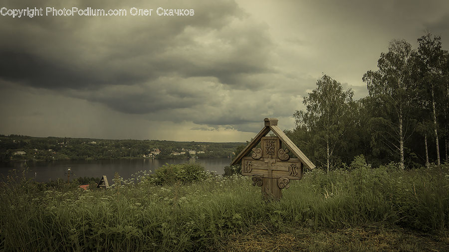 Grass, Plant, Reed, Oak, Tree, Wood, Cabin