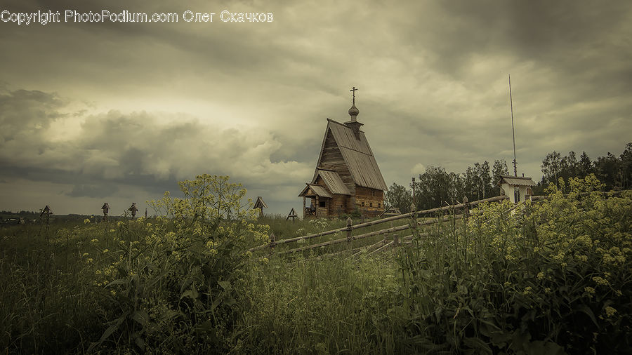 Building, Cottage, Housing, Countryside, Field, Rural, Grass