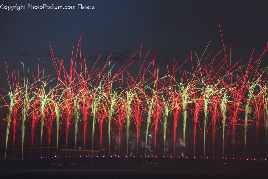 Fireworks, Night, Field, Grass, Grassland, Plant