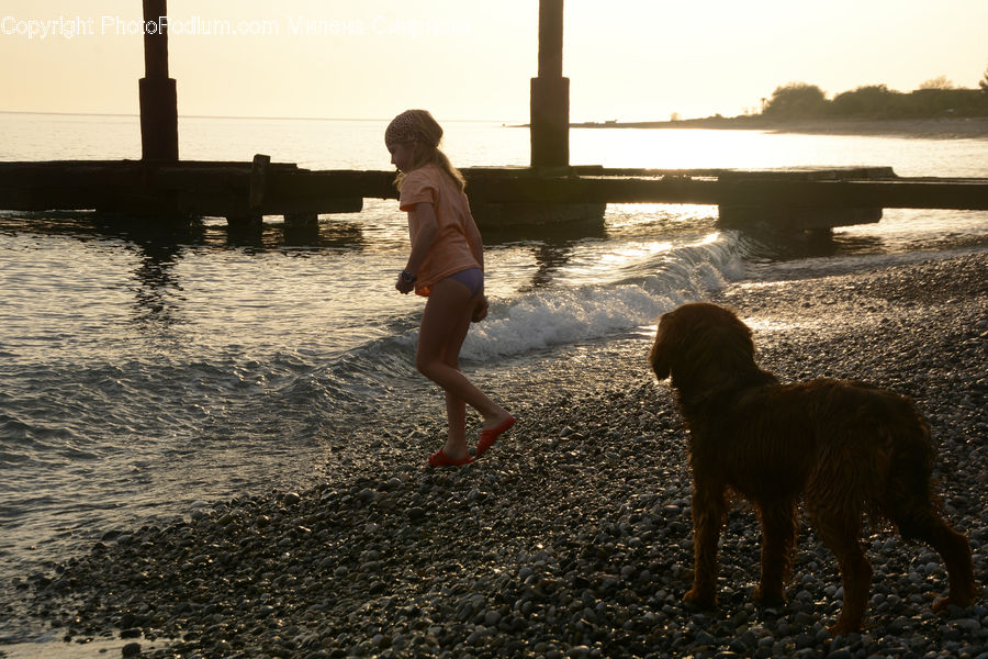 People, Person, Human, Animal, Canine, Dog, Mammal