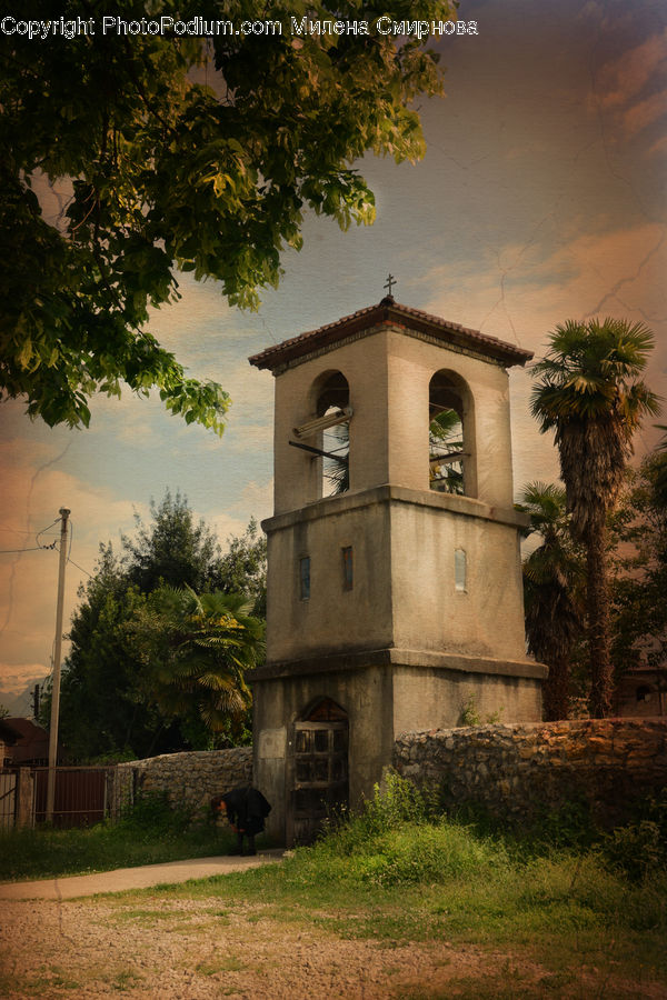 Architecture, Bell Tower, Clock Tower, Tower, Palm Tree, Plant, Tree