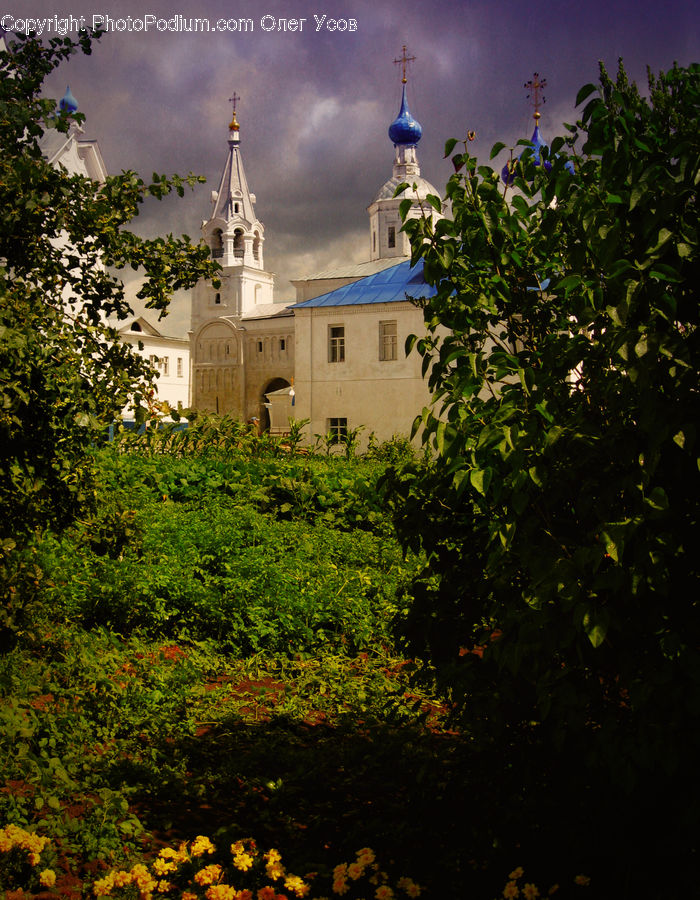 Architecture, Bell Tower, Clock Tower, Tower, Bush, Plant, Vegetation