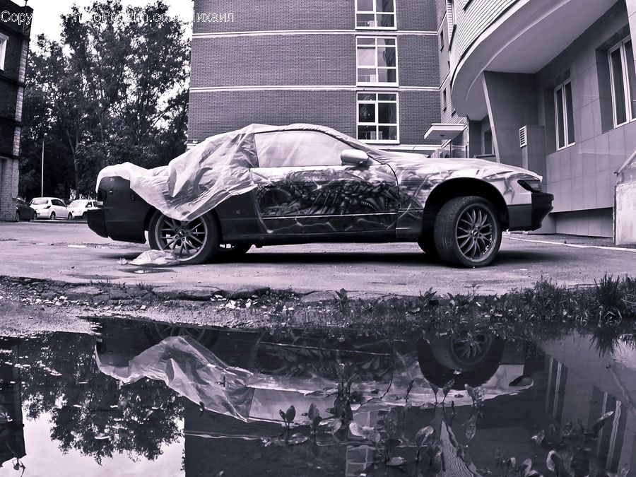 Automobile, Car, Vehicle, Sedan, Ice, Outdoors, Snow