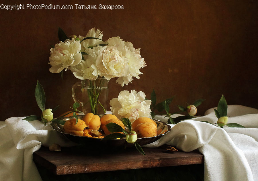 Plant, Potted Plant, Blossom, Flower, Peony, Flower Arrangement, Flower Bouquet