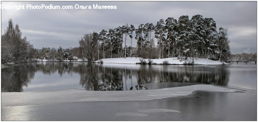 Flood, Ice, Outdoors, Snow, Forest, Vegetation, Fir