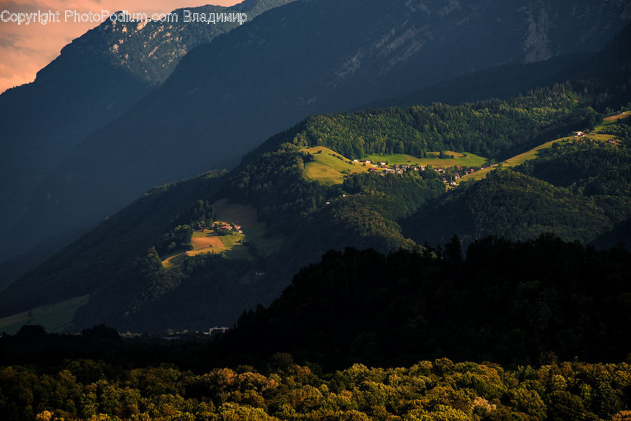 Mountain, Mountain Range, Outdoors, Crest, Peak, Conifer, Fir