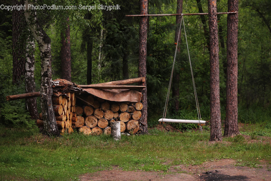 Building, Cabin, Shelter, Hut, Rural, Shack, Forest