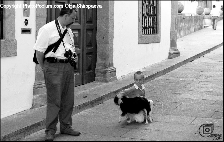 Human, People, Person, Animal, Canine, Collie, Dog
