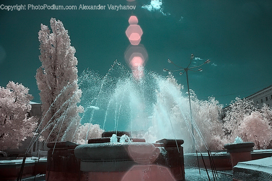 Plant, Potted Plant, Submarine, Fountain, Water, Fireworks, Night