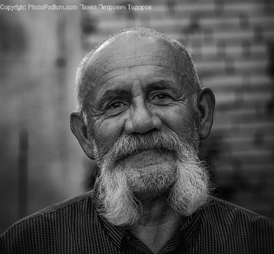 People, Person, Human, Beard, Hair, Portrait, Selfie