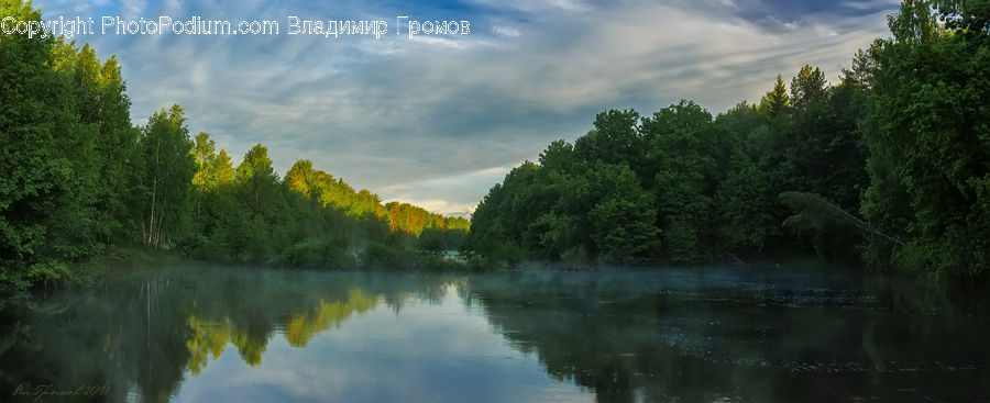 Lake, Outdoors, Water, Forest, Jungle, Rainforest, Vegetation