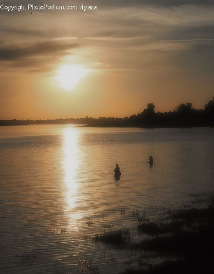 Outdoors, Ripple, Water, Land, Marsh, Swamp, Grass