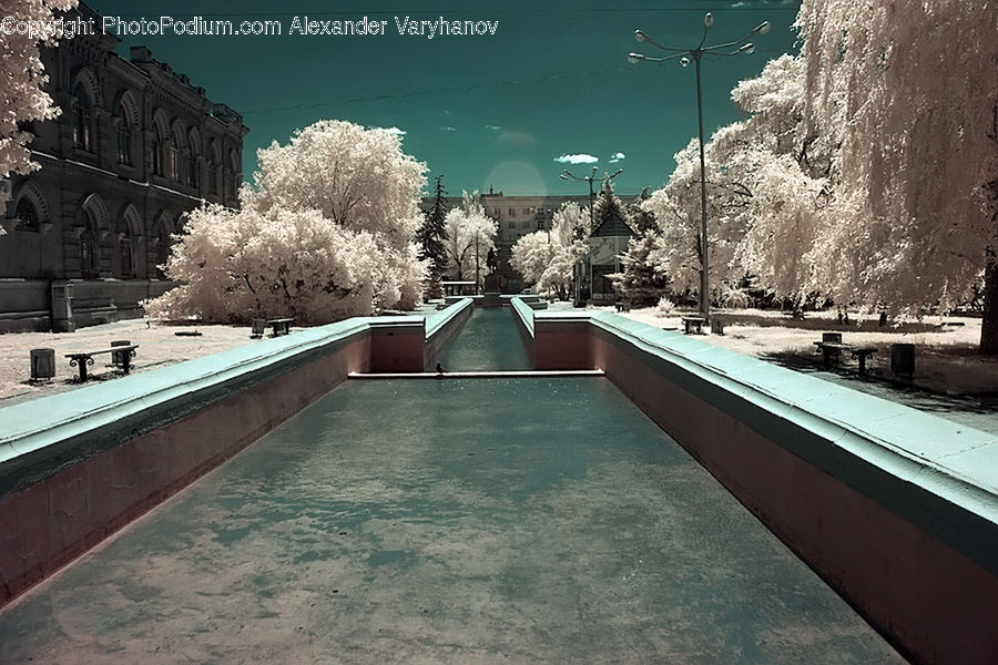 Blossom, Flora, Flower, Plant, Cherry Blossom, Spa, Ice