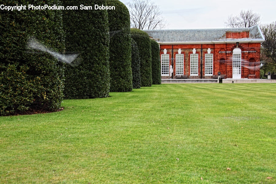Building, Office Building, Field, Grass, Lawn, Fence, Hedge