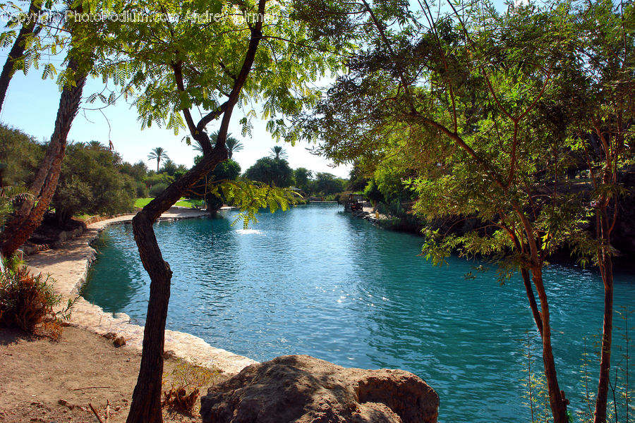 Lake, Outdoors, Water, Bush, Plant, Vegetation, Path