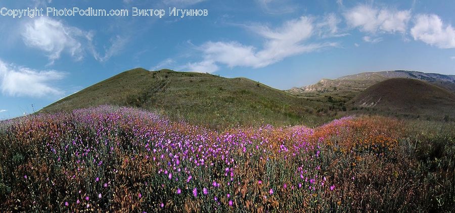 Countryside, Hill, Outdoors, Field, Grass, Grassland, Land