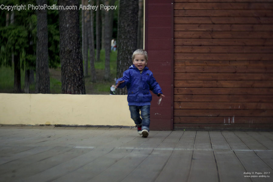 Human, People, Person, Forest, Vegetation, Leisure Activities, Walking