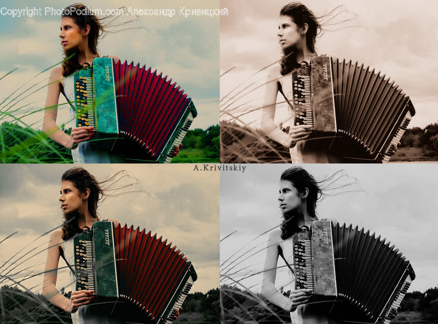 Accordion, Musical Instrument, People, Person, Human, Collage, Poster
