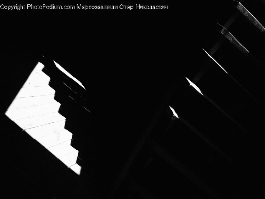 Silhouette, Flying, Building, Housing
