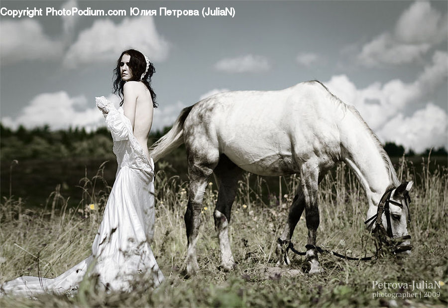 People, Person, Human, Animal, Horse, Mammal, Countryside