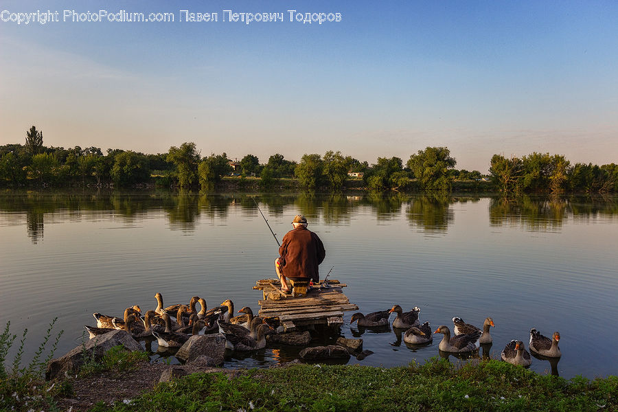 People, Person, Human, Fishing, Buddha, Shrine, Temple