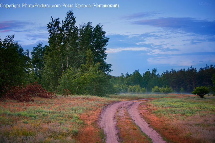 Dirt Road, Gravel, Road