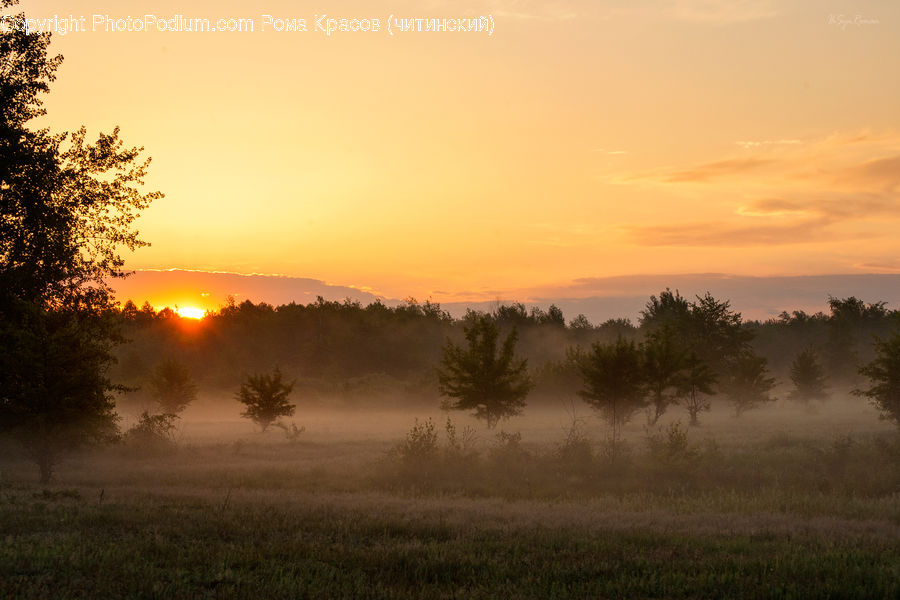 Dawn, Dusk, Sky, Sunrise, Sunset, Fog, Outdoors