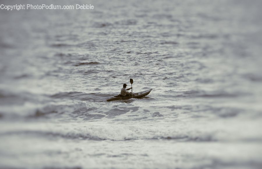 Bird, Cormorant, Waterfowl, Outdoors, Sea, Sea Waves, Sport