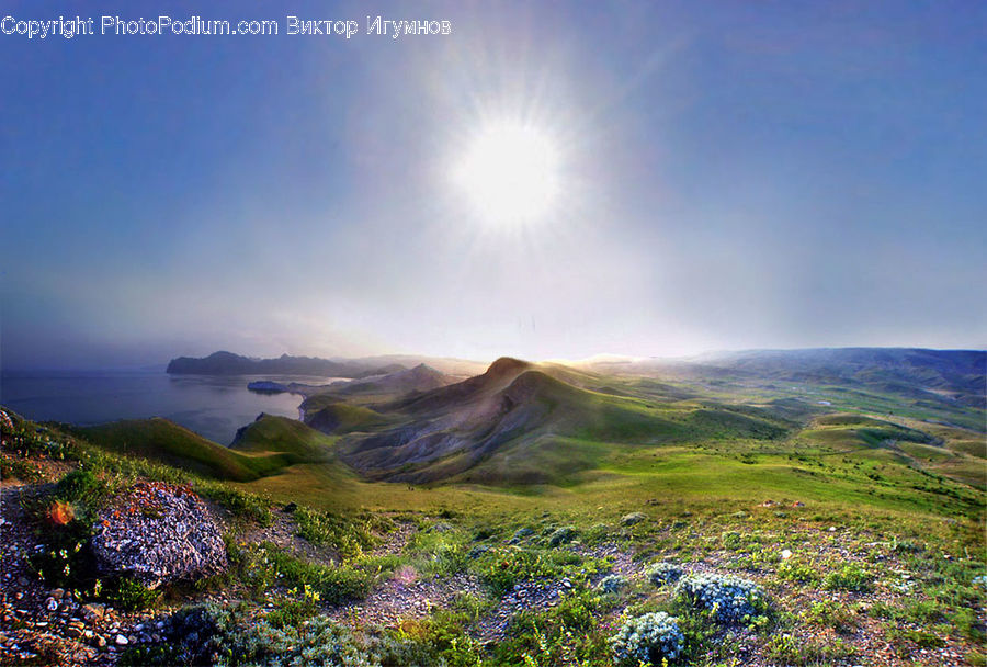 Field, Grass, Grassland, Land, Outdoors, Dawn, Dusk