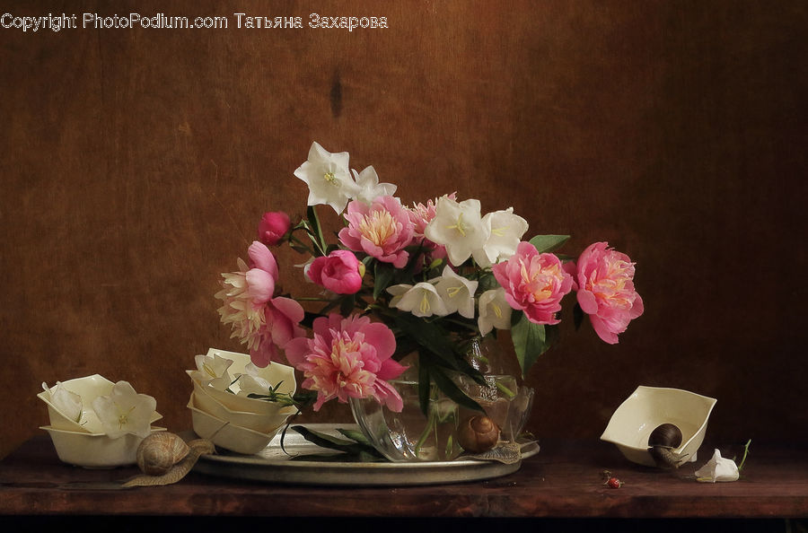 Plant, Potted Plant, Glass, Goblet, Paper, Blossom, Flower
