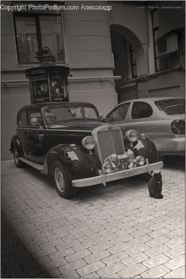 Automobile, Car, Vehicle, Sedan, Arch, Van, Fireplace