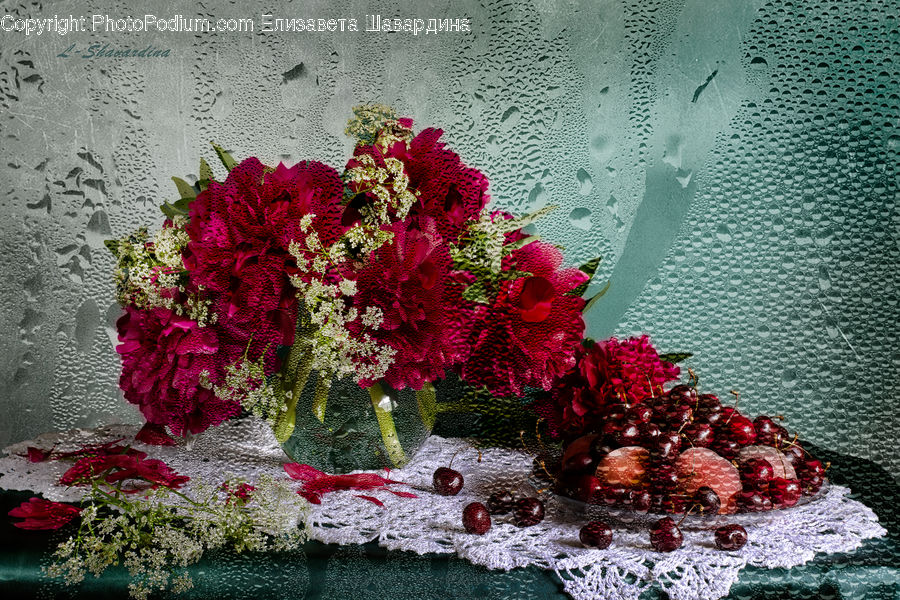 Blossom, Flower, Plant, Rose, Flower Arrangement, Flower Bouquet, Flora