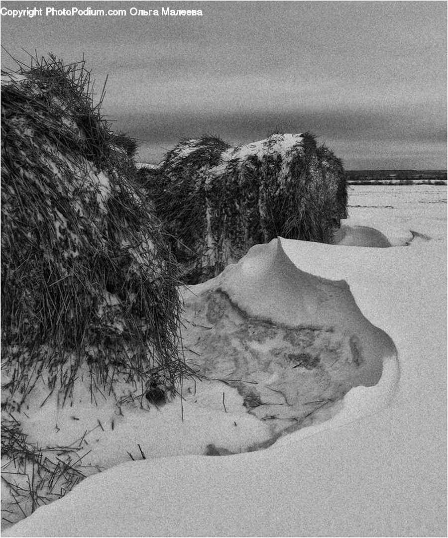 Ice, Outdoors, Snow, Sand, Soil, Countryside, Plant