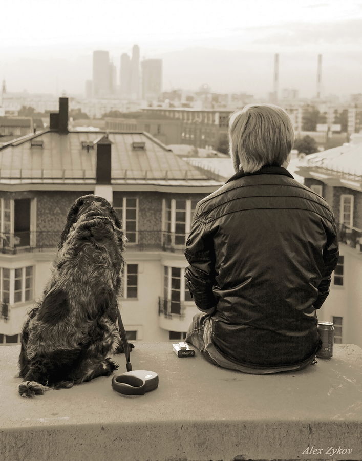 Human, People, Person, Back, Animal, Canine, Dog